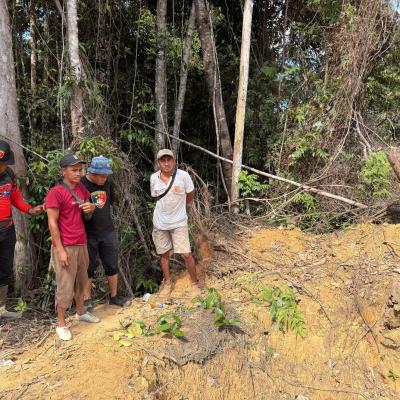 Polres Rohul Tangkap Pelaku Pembakaran Lahan di Hutan Produksi Terbatas (HPT) Tanjung Medan