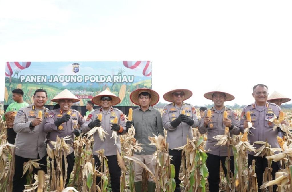 Polda Riau Panen Mandiri Jagung Tahap II: Wujud Nyata Dukung Swasembada Pangan 2025