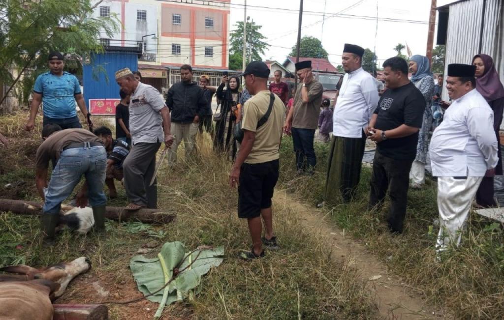 Idul Adha 1446 H, JMSI Inhu Sembelih Hewan Kurban Bersama Bupati dan DPRD