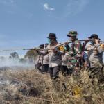 Kolaborasi Polisi-TNI-BPBD Berjibaku Padamkan Karhutla di Rokan Hilir