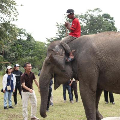 Puluhan Mahasiswa Jepang Lakukan Kegiatan Edukasi Industri ke IKPP dan Arara Abadi di Riau