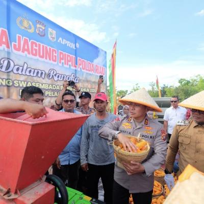 Bupati Pelalawan dan Kapolda Riau Panen 15 Ton Jagung