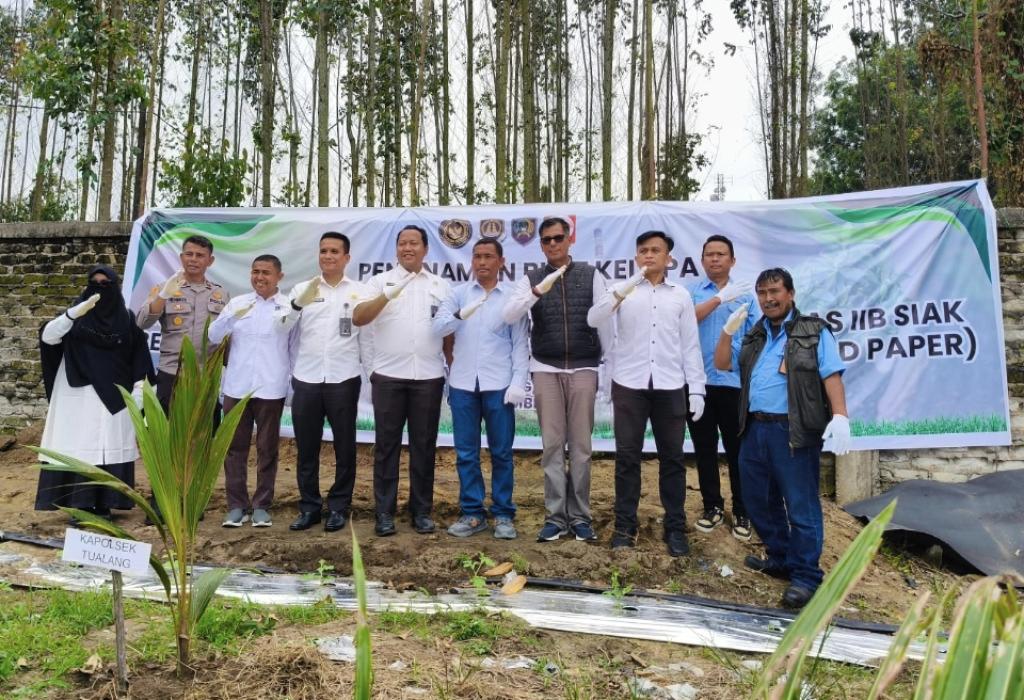Dukung Ketahanan Pangan Nasional, Imigrasi dan Rutan Kelas IIB Siak Tanam 500 Bibit Kelapa di lahan PPKM Perawang