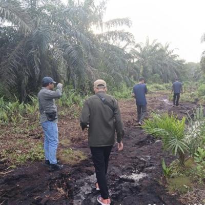 Warga Siak Berhadapan dengan Harimau Sumatera, BBKSDA Riau Turun Tangan