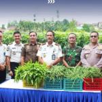 Pemasyarakatan Riau Panen Raya Serentak, Wujud Optimalisasi Lahan Produktif