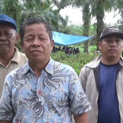 Sedikitnya 1.500 KK di Inhu Tolak Kebun Sawit Dikelola PT Agrinas Palma Nusantara