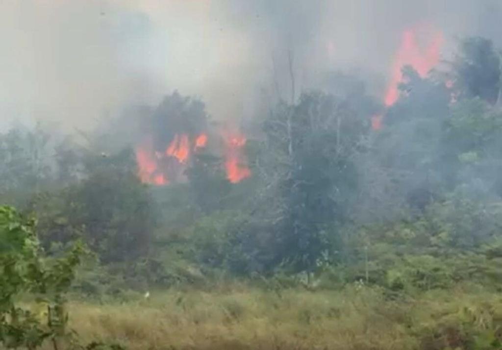 Lahan Kosong Terbakar, Asap Tebal Selimuti Wilayah Senggarang