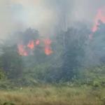 Lahan Kosong Terbakar, Asap Tebal Selimuti Wilayah Senggarang