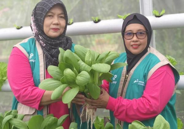 Kisah Perempuan Tangguh Penjaga Iklim di Air Jamban: Saat Lahan Gersang Berubah Menjadi Ladang Cuan