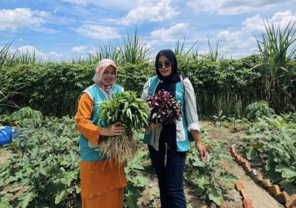 Dari Lahan Mati Jadi Apotek Hidup: Kisah Murni Menjaga Warisan Kesehatan Dunia di Duri