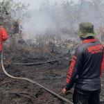 Tim Gabungan Masih Berjibaku Padamkan 5 Titik Karhutla di Tiga Kabupaten di Riau