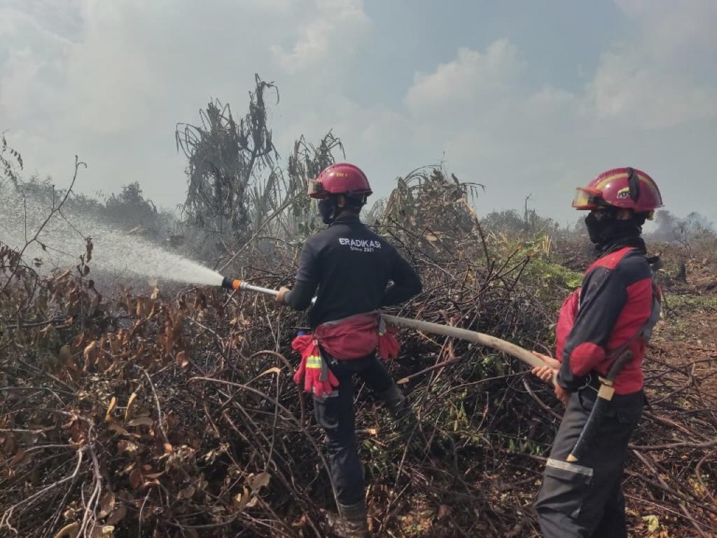 PT Arara Abadi Kerahkan Helikopter dan 100 Personel Bantu Padamkan Karhutla di Luar Wilayah Konsesi