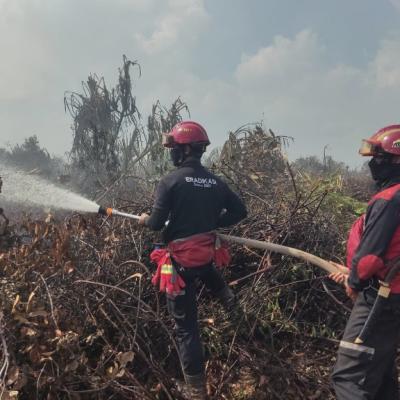 PT Arara Abadi Kerahkan Helikopter dan 100 Personel Bantu Padamkan Karhutla di Luar Wilayah Konsesi