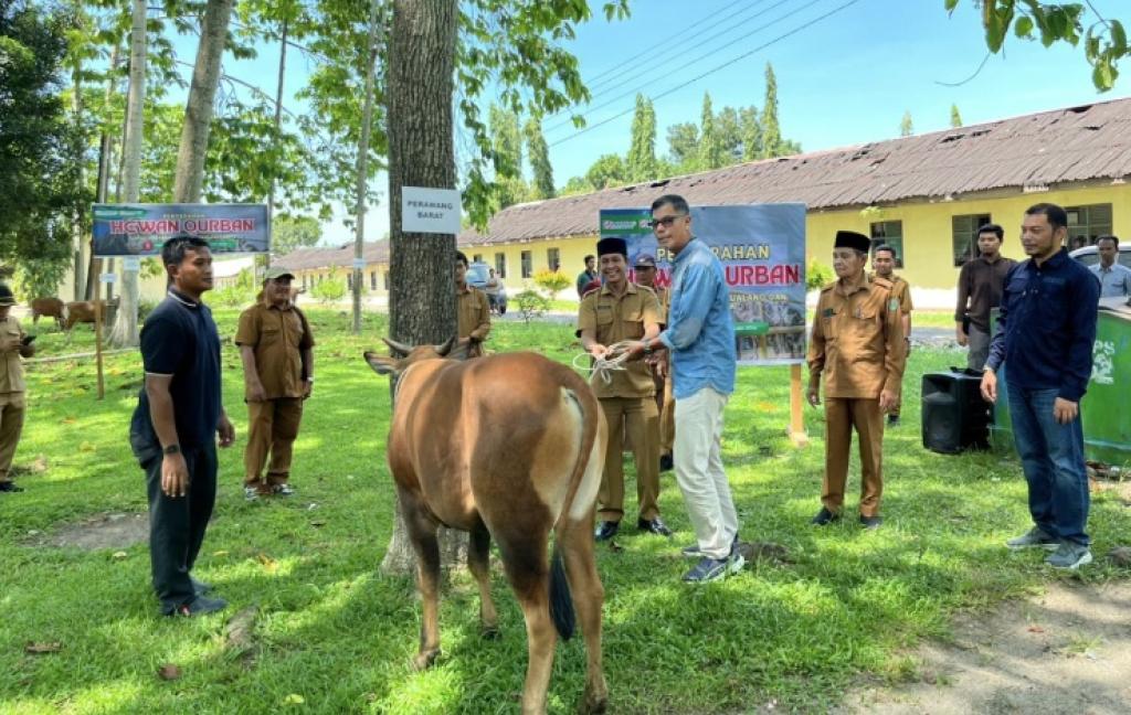 PT IKPP Perawang Salurkan 12 Ekor Sapi Untuk Masyarakat di Wilayah Operasional Perusahaan