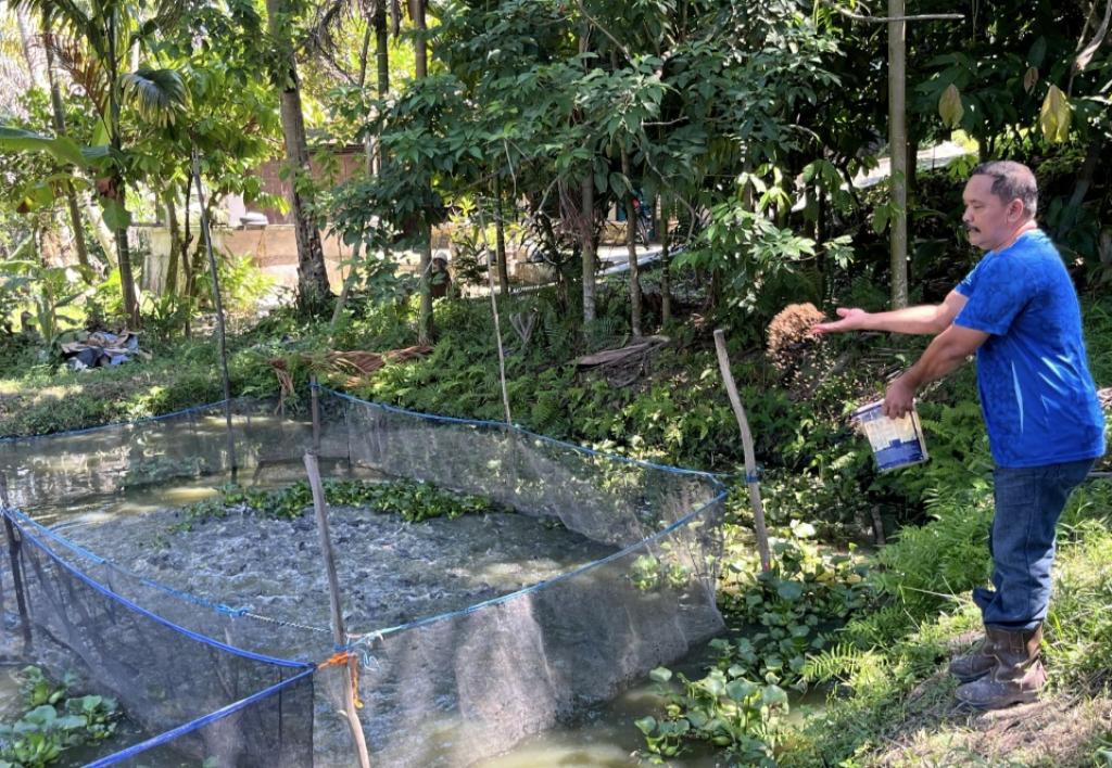 Kisah Warga Minas Rajut Kemandirian Ekonomi Lewat Budidaya Lele
