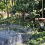 Kisah Warga Minas Rajut Kemandirian Ekonomi Lewat Budidaya Lele