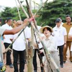 Pemko Batam Tambah Ruang Terbuka Hijau, DAS Baloi Indah Disulap Jadi Taman Kota