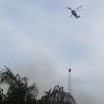 Karhutla di Lahan Warga Siak, PT Arara Abadi Kerahkan 2 Heli Water Bombing