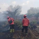 Satgas Karhutla Riau Apresiasi Bantuan PT Arara Abadi Padamkan Kebakaran Lahan