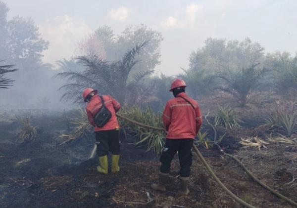 Satgas Karhutla Riau Apresiasi Bantuan PT Arara Abadi Padamkan Kebakaran Lahan