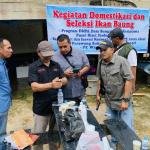 PT PSPI dan BRIN Lanjutkan Tahapan Domestikasi Ikan Baung Khas Kampar