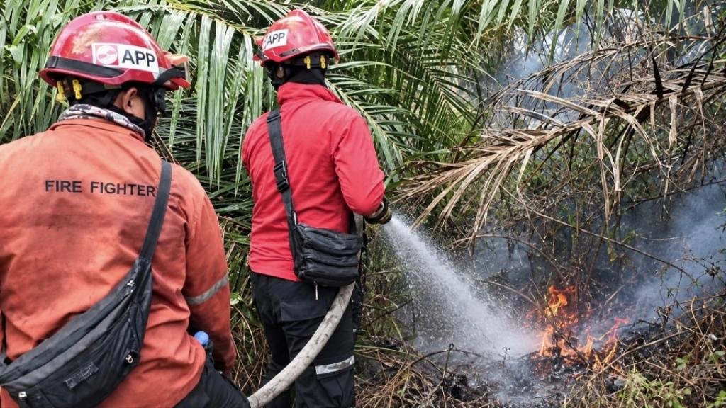 Kolaborasi PT Arara Abadi dan Tim Gabungan Padamkan Karhutla di Mempura Siak