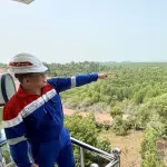 Penimbunan Lahan Lintasi Jalur Pipa Gas, PGN Ingatkan Risiko Blackout Batam