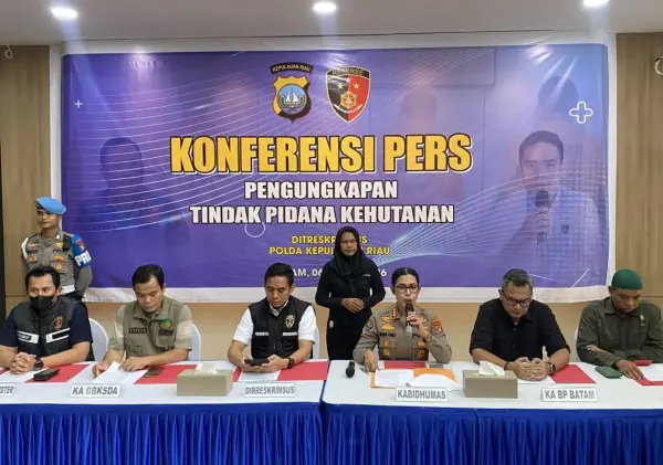 Perambahan Hutan Rempang Terungkap, Pelaku Terancam 10 Tahun Penjara