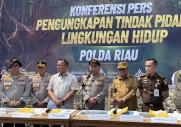 Bupati Rohil Apresiasi Polda Riau Ungkap Perusakan 118 Hektare Hutan Mangrove