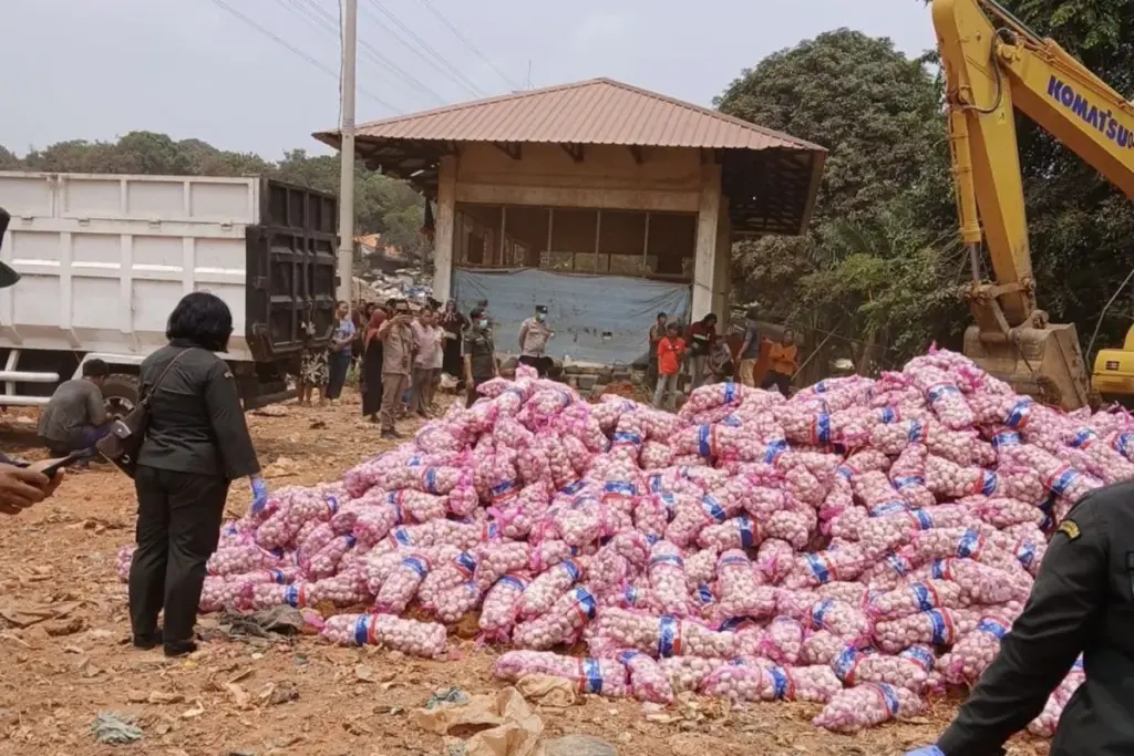 Karantina Kepri Musnahkan 29 Ton Bawang Putih Asal China di Batam