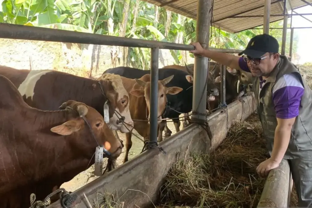 RPH Batam Buka Layanan Kurban Halal, Kuota Langsung Penuh