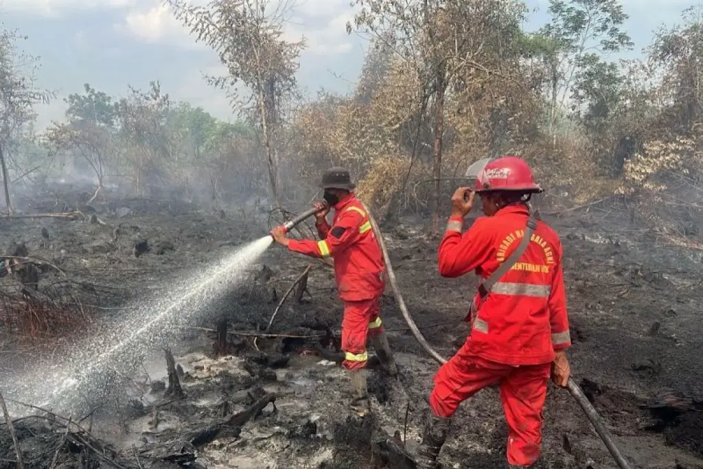Kebakaran Lahan di Tapung Disengaja? Polres Kampar Periksa Tiga Orang