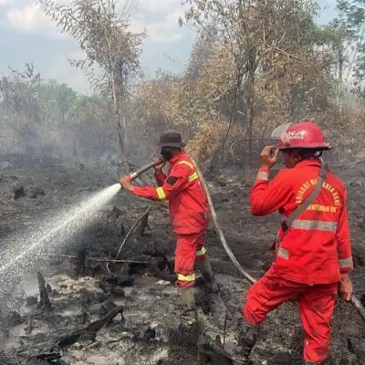 Kebakaran Lahan di Tapung Disengaja? Polres Kampar Periksa Tiga Orang