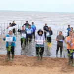 DLHK Kepri Tanam 1.000 Bibit Mangrove di Pulau Dompak Peringati Hari Mangrove Sedunia