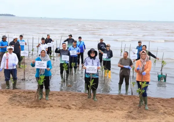 DLHK Kepri Tanam 1.000 Bibit Mangrove di Pulau Dompak Peringati Hari Mangrove Sedunia