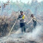 Selama Januari 2026, Luas Lahan Terbakar di Riau sudah Capai 59,38 Hektar
