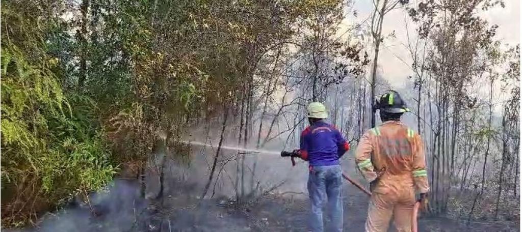 UPTD Damkar Tanjung Uban Padamkan Kebakaran Lahan di Teluk Sebong