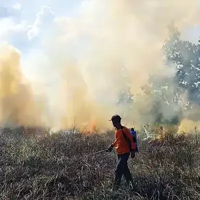 Meski Karhutla di Riau Sudah Terkendali, Kemenhut Minta Semua Pihak Tetap Waspada