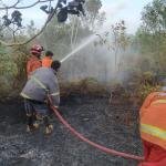 150 Kali Karhutla, 68 Hektare Lahan Terbakar di Tanjungpinang Sepanjang 2026