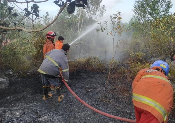 150 Kali Karhutla, 68 Hektare Lahan Terbakar di Tanjungpinang Sepanjang 2026