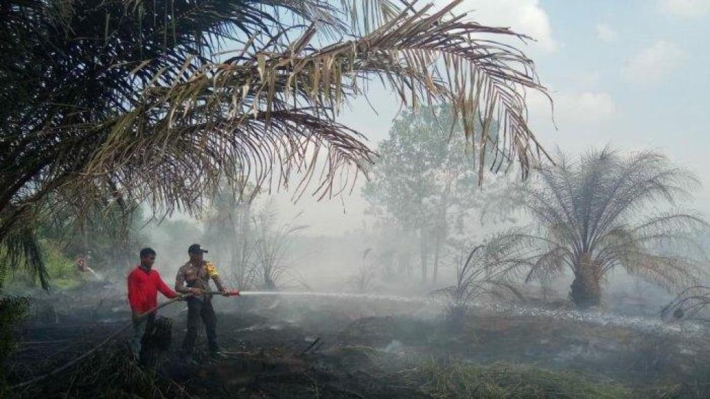 Titik Api Karhutla di Inhil Kembali Membara, Heli Water Bombing Segera DIkerahkan