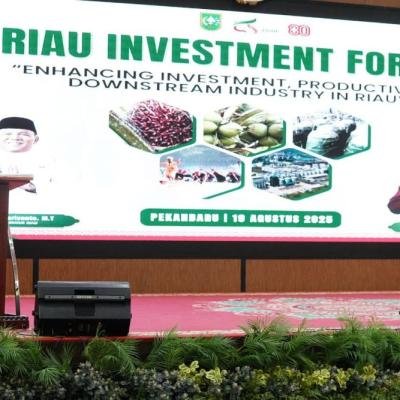 Gubernur Wahid Yakinkan Investor Dunia Riau Daerah Yang Potensial Untuk Investasi