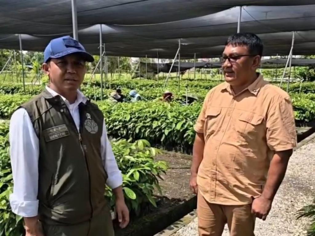 Pulihkan Tesso Nilo, Menhut Raja Juli Antoni Siapkan Bibit Kulim hingga Durian