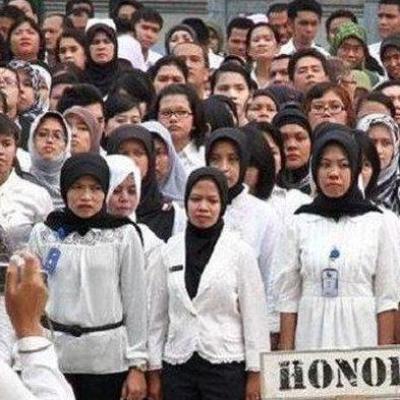 Pemberhentian Honorer di Pelalawan: Anggota DPRD Cemas Ada Kepentingan Terselubung