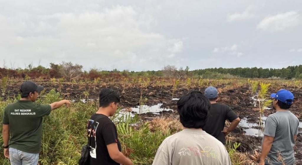 Niat Basmi Tawon Berujung Karhutla, Pria di Bengkalis Jadi Tersangka
