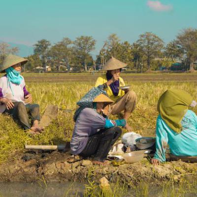 Daya Beli Petani Riau Melemah pada April 2025, NTP Turun 5,44 Persen