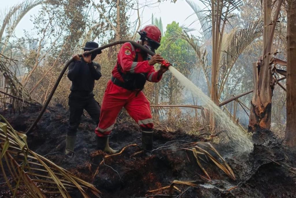 Karhutla Seluas Lima Hektar di Kuala Kampar Berhasil Dipadamkan