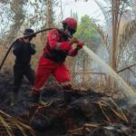 Karhutla Seluas Lima Hektar di Kuala Kampar Berhasil Dipadamkan