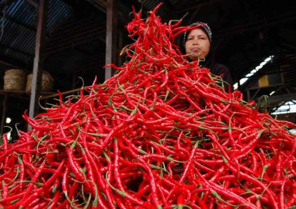 Harga Cabai Merah Tembus Rp100 Ribu, Pemko Pekanbaru Siapkan Subsidi Transportasi