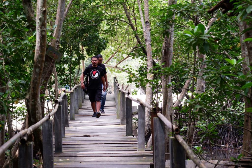 Pemprov Kepri Genjot Penanaman Mangrove 50 Hektare per Tahun untuk Lawan Pemanasan Global